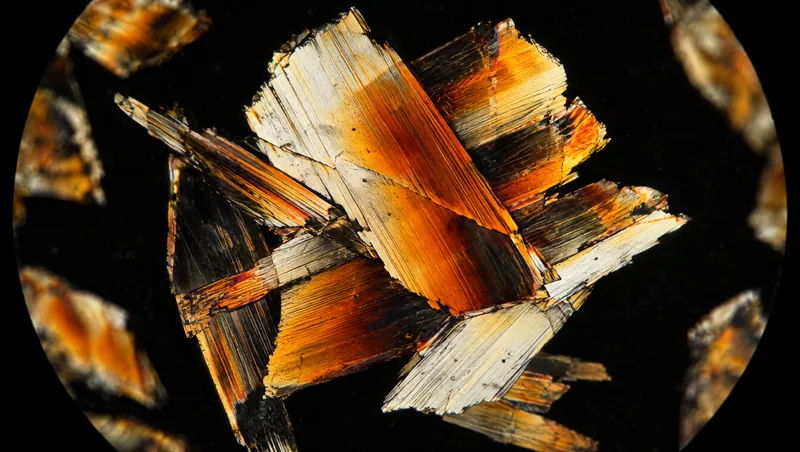L-leucine crystals under polarised light microscopy, glowing amber and orange